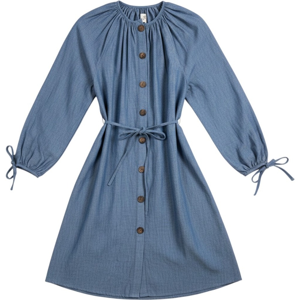 J. Crew Womens Blue Chambray Button Front Tie Waist Mini Dress Small New